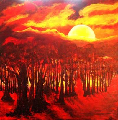 Forest at the end of the day.