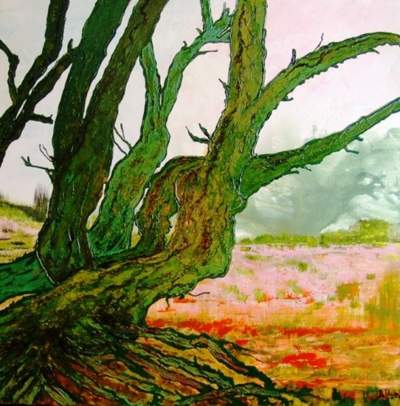 Old survivor! / Oerboom