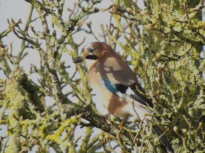 Weer een stukje verder
