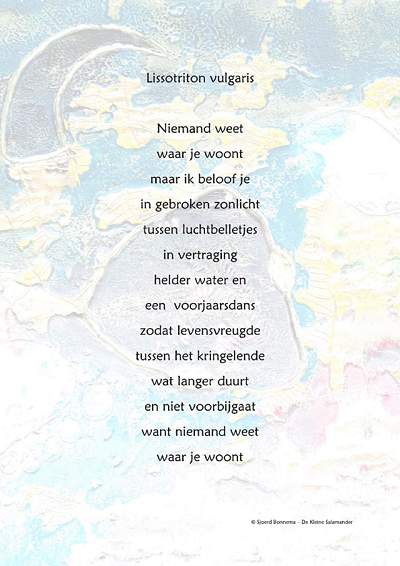 Lissotriton vulgaris - De kleine watersalamander